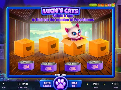 Lucie’s Cats — обложка